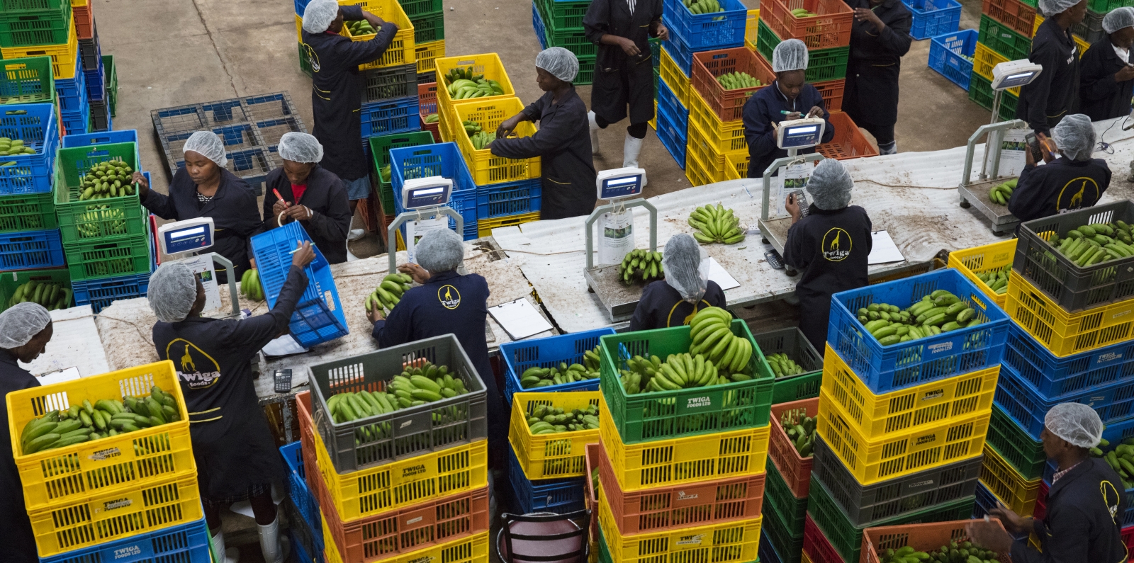 Farmers Marketplaces in Kenya