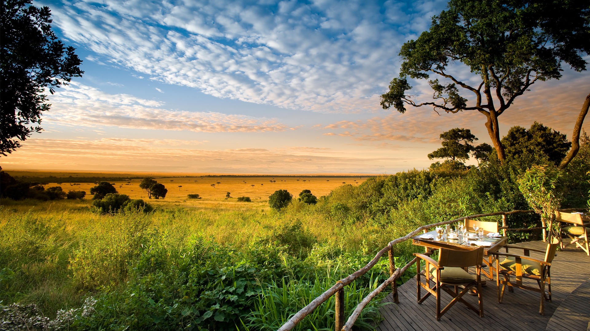 Kenya Safari Tours