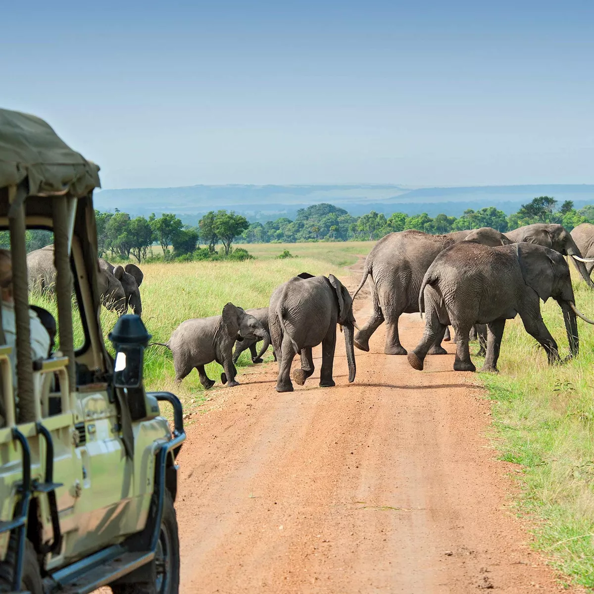 Kenya Safari Tours