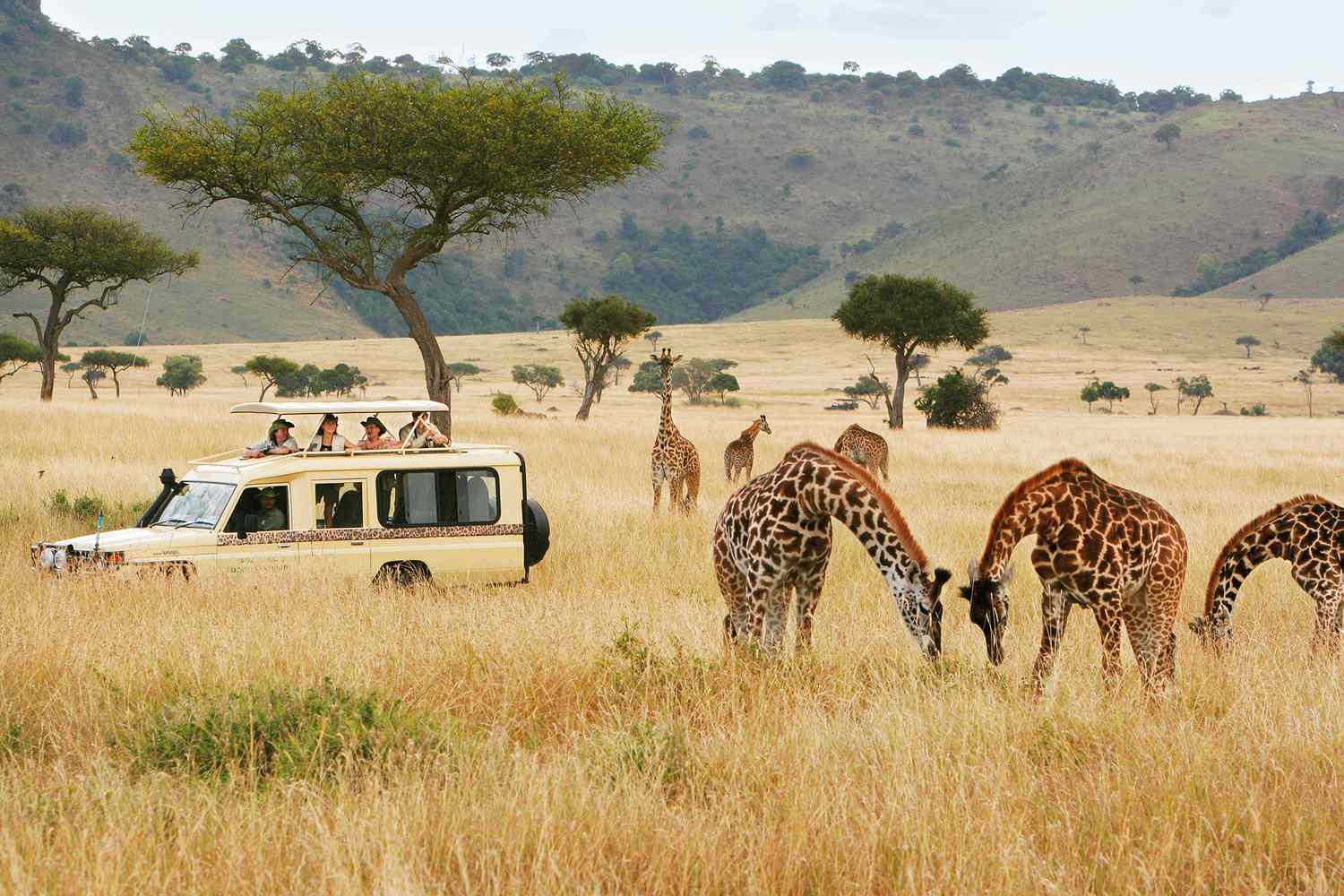 Kenya Safaris