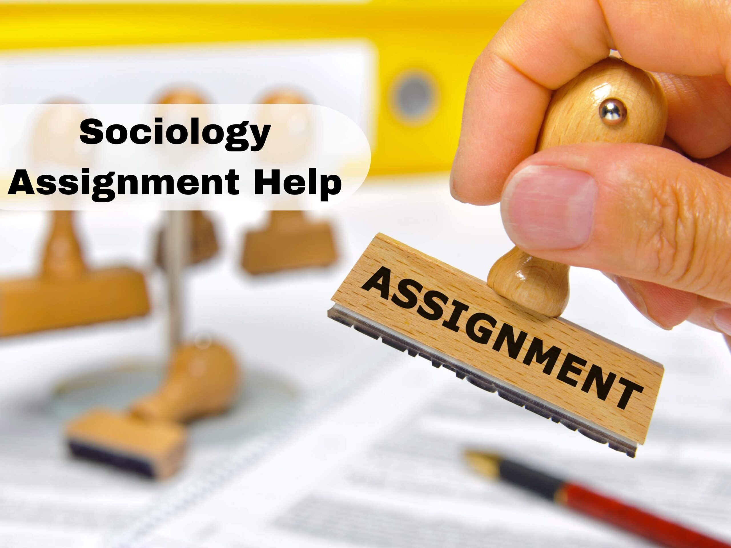 Sociology Assignment Help